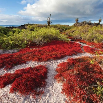 tourhub | Intrepid Travel | Classic Galapagos: Central Southern Islands (Grand Queen Beatriz) 