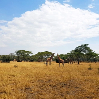 tourhub | SpiceRoads Cycling | Cycling Uganda & Rwanda: The Heart of Africa 