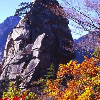 tourhub | On The Go Tours | Spectacular South Korea 4 star - 12 days 