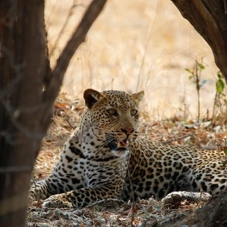 tourhub | Bundu Safaris Ltd | Zambia's Best Parks 