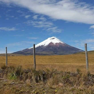 tourhub | Rebecca Adventure Travel | 6-Day Ecuador Multisport Package in Cotopaxi, Amazon and Andes Mountains 