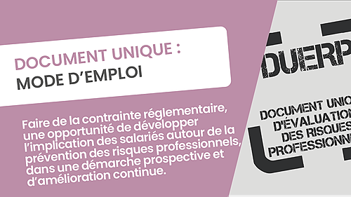 Représentation de la formation : DOCUMENT UNIQUE : MODE D’EMPLOI