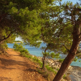 tourhub | TD Active Holidays | Croatia Walking Holiday 