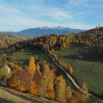 tourhub | Active Travel | Village Life in Transylvanian Carpathians Mountains, an eco-certified program 