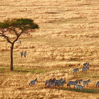 tourhub | SpiceRoads Cycling | Cycling Kilimanjaro to the Indian Ocean  