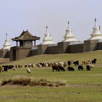 tourhub | Explore! | Mongolia Explorer 