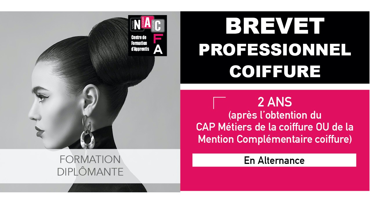 Représentation de la formation : BREVET PROFESSIONNEL