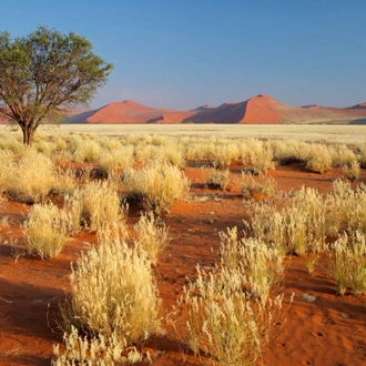 tourhub | ATC Namibia | Sossusvlei Region Short Break, Private Tour (On Request) 