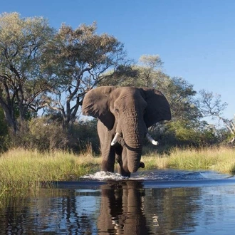 tourhub | Explore! | Family Botswana and Zimbabwe Safari Adventure 