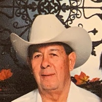 Salvador Sanchez, Jr. Profile Photo