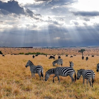 tourhub | Royal Private Safaris | 6 DAYS KENYA SAFARI - MASAI MARA – LAKE NAKURU 