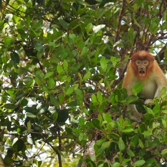 tourhub | SpiceRoads Cycling |  Borneo Heritage by Bicycle  