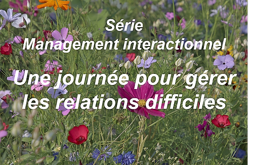 Représentation de la formation : Série Management interactionnel - Une journée pour gérer les relations difficiles