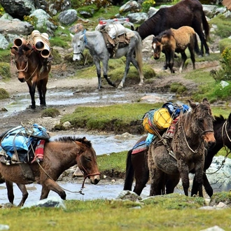 tourhub | TreXperience | Salkantay Trek Luxury Tour 5-days 