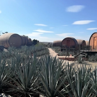 tourhub | Today Voyages | Tour Tequila & Mariachis 