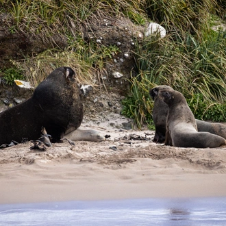 tourhub | Heritage Expeditions | Beyond Fiordland 