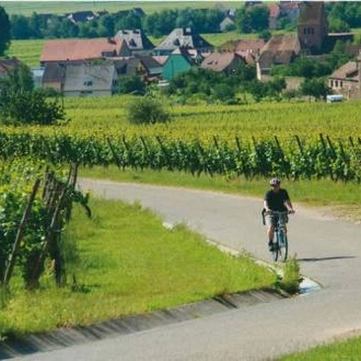 tourhub | UTracks | Rhine Valley Cycle 