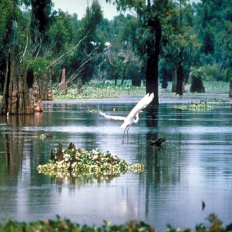 tourhub | Today Voyages | Louisiana 