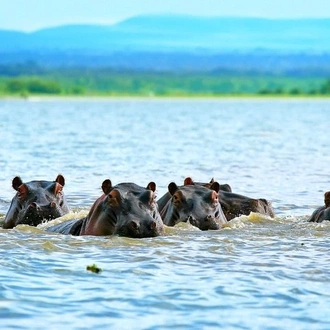 Lake Naivasha National park