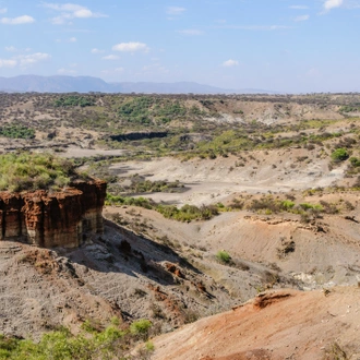 tourhub | Alaitol Safari | Tanzania: Serengeti to Zanzibar 