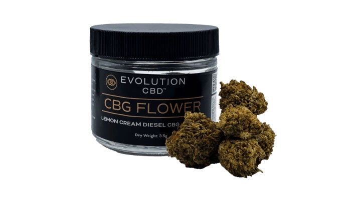 CBG flower buds near jar of lemon cream diesel CBG flower jar