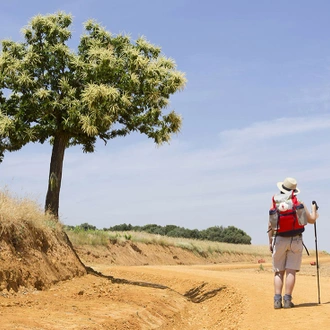 tourhub | Intrepid Travel | Walk the Camino de Santiago 