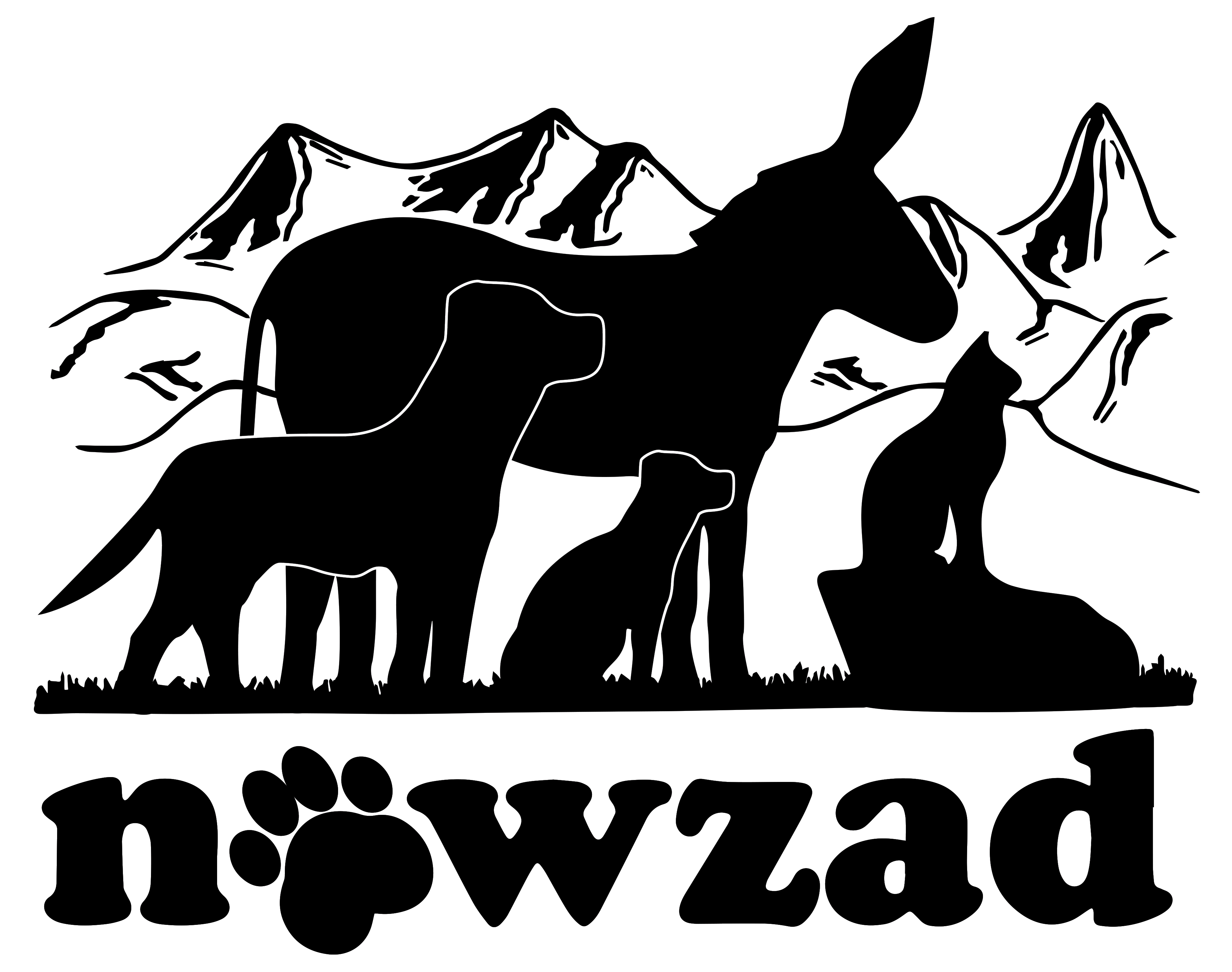 Nowzad logo