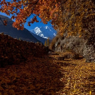 tourhub | Hunza Explorers Treks & Tours | Hunza Autumn Tour 