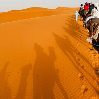 tourhub | Morocco Global Adventures | 3 Day tour from Marrakech to Merzouga desert with camel trek  and back to Marrakech round trip 