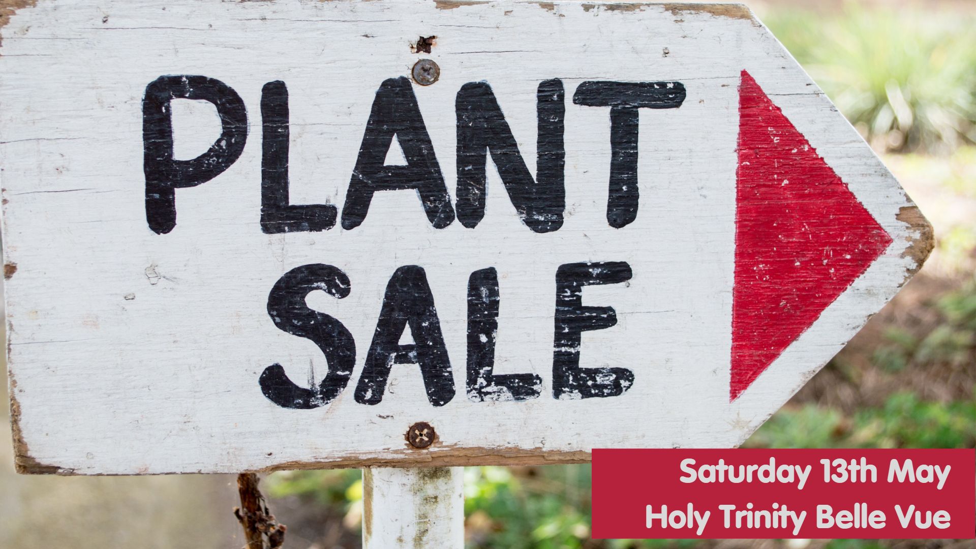 Plant Sale.jpg