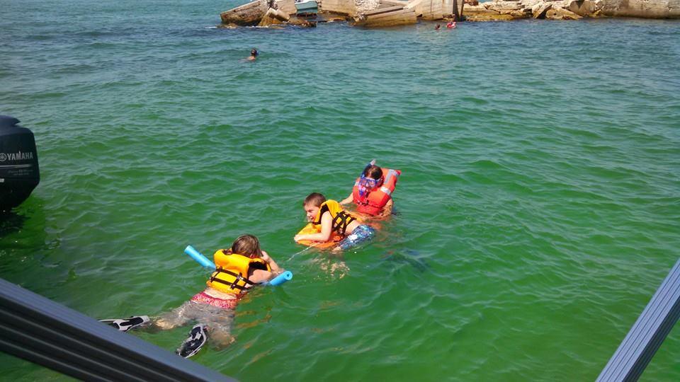 Dolphin-Snorkeling Cruise to Shell Key (9AM)