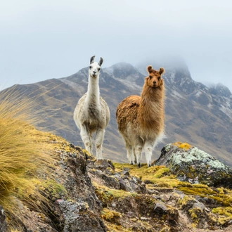 tourhub | Exodus Adventure Travels | Essential Peru 