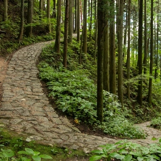 tourhub | The Natural Adventure | Walking the Nakasendo Trail and Kamikochi 