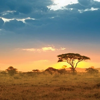 tourhub | Globus | Tanzania Private Safari 