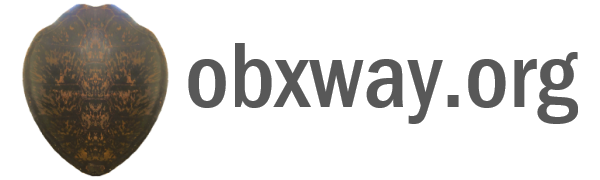 The OBX Way logo