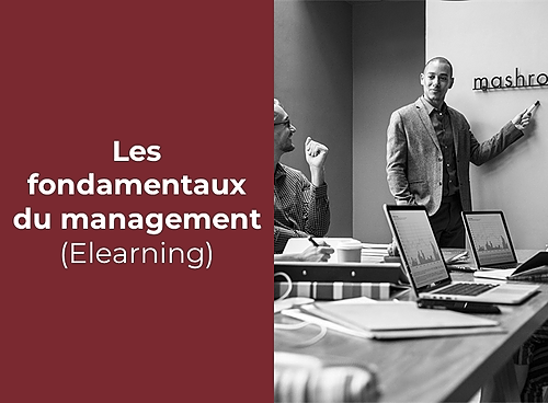 Représentation de la formation : Les fondamentaux du management (Elearning)