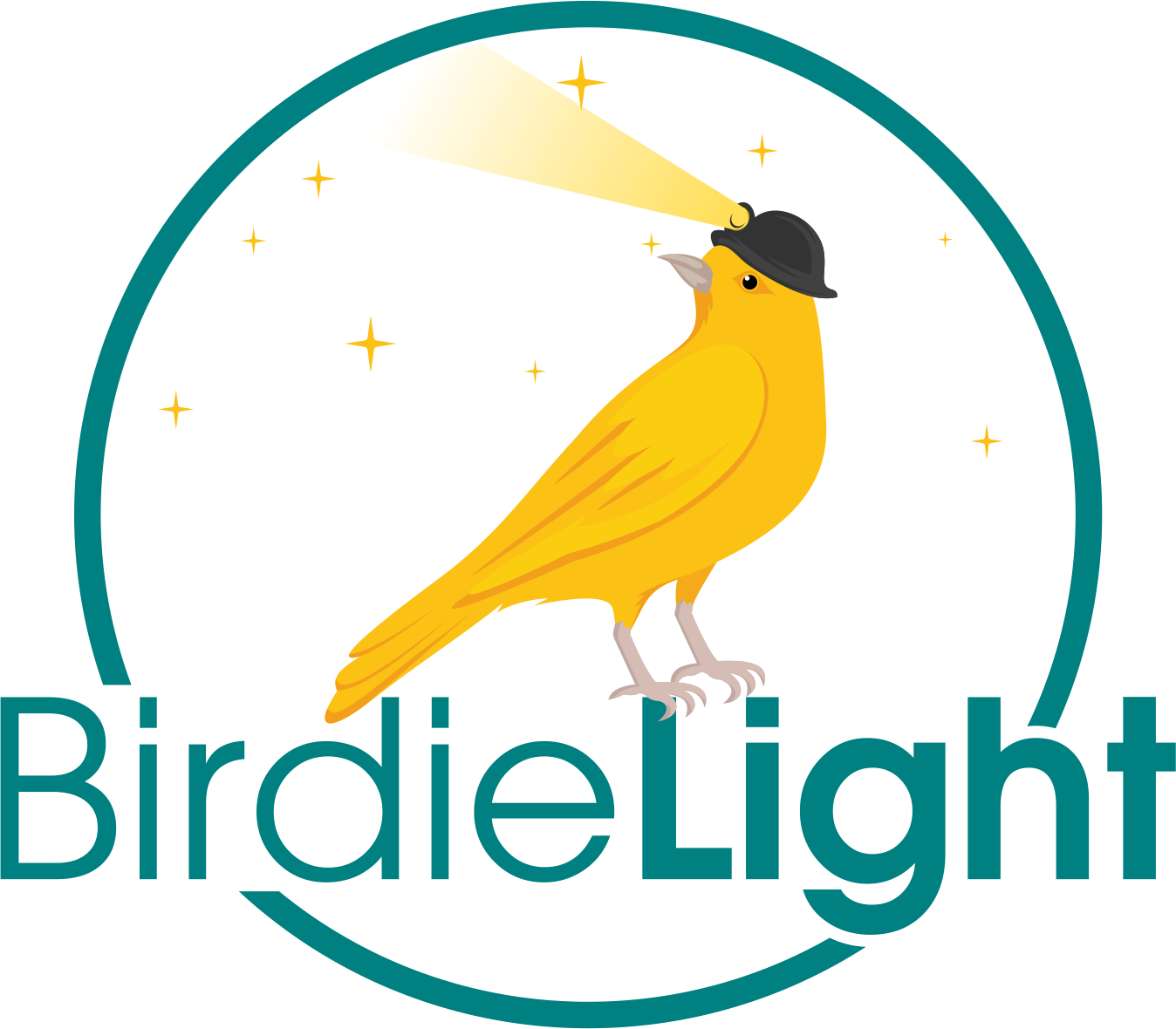 BirdieLight logo
