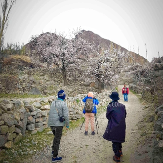 tourhub | Hunza Explorers Treks & Tours | Hunza Cherry Blossom 