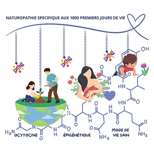 Représentation de la formation : Naturopathie spécifique aux 1000 (+90) premiers jours de vie