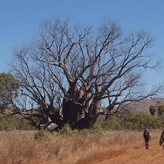 tourhub | Intrepid Travel | Broome to the Bungle Bungles  