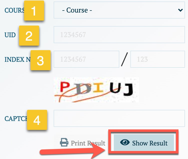 Enter Your Details Like  (Course (Select Class), UID, Index No, Captcha Code).