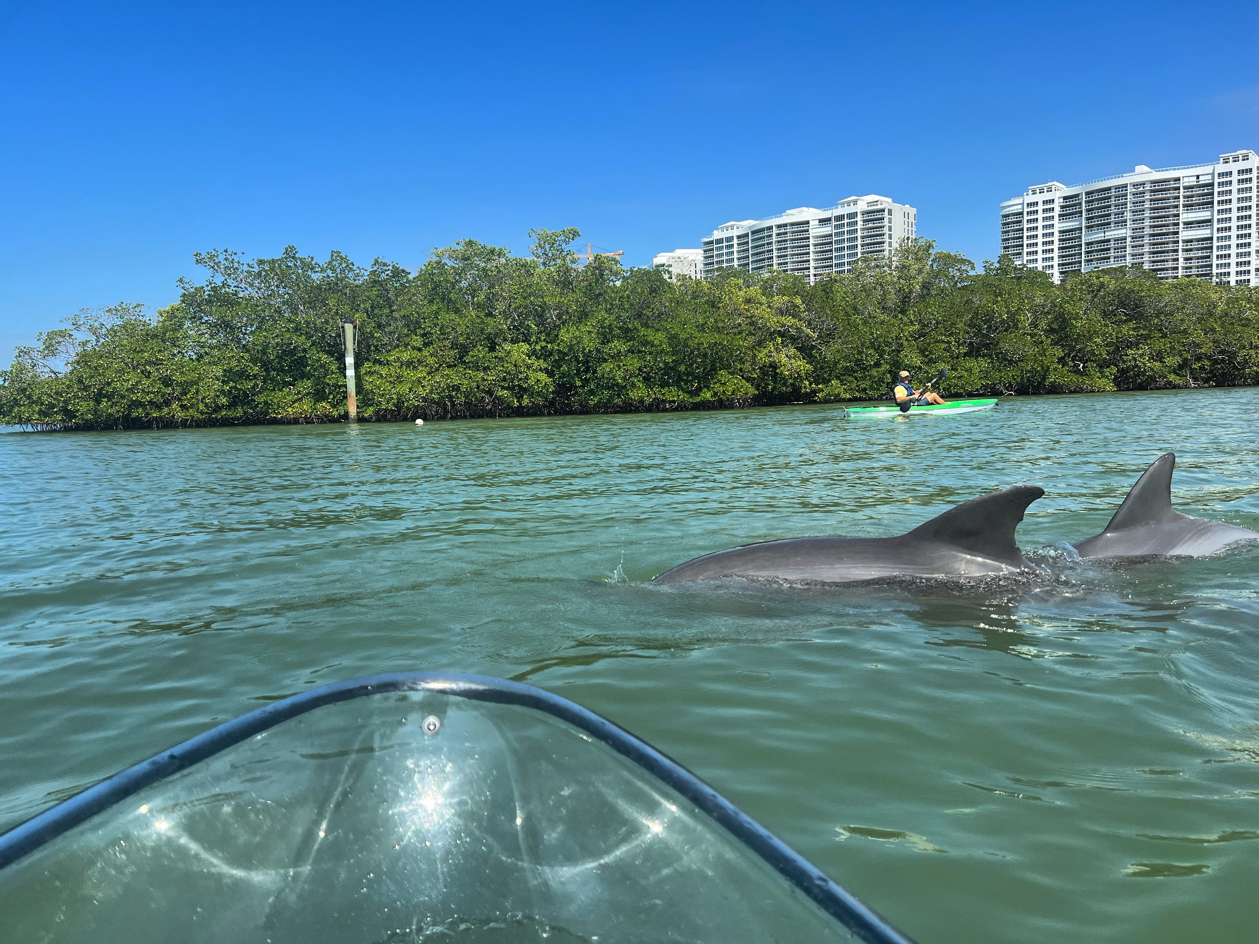 Naples Clear Kayak Eco Tour - Wiggins Pass