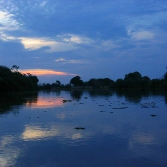 tourhub | Signature DMC | 5-Days North Pantanal - Unearthing exotic treasures in the Pantanal wetlands  