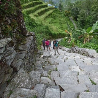 tourhub | Alchemy Travels | Poon Hill Ghorepani Treks 