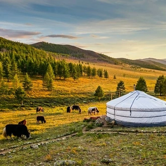 tourhub | Sundowners Overland | Naadam Adventure 