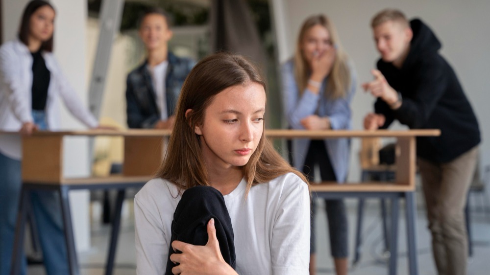 Représentation de la formation : Harcèlement scolaire : prévenir et intervenir