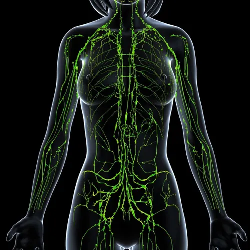 BioPhield Lymphatic Release