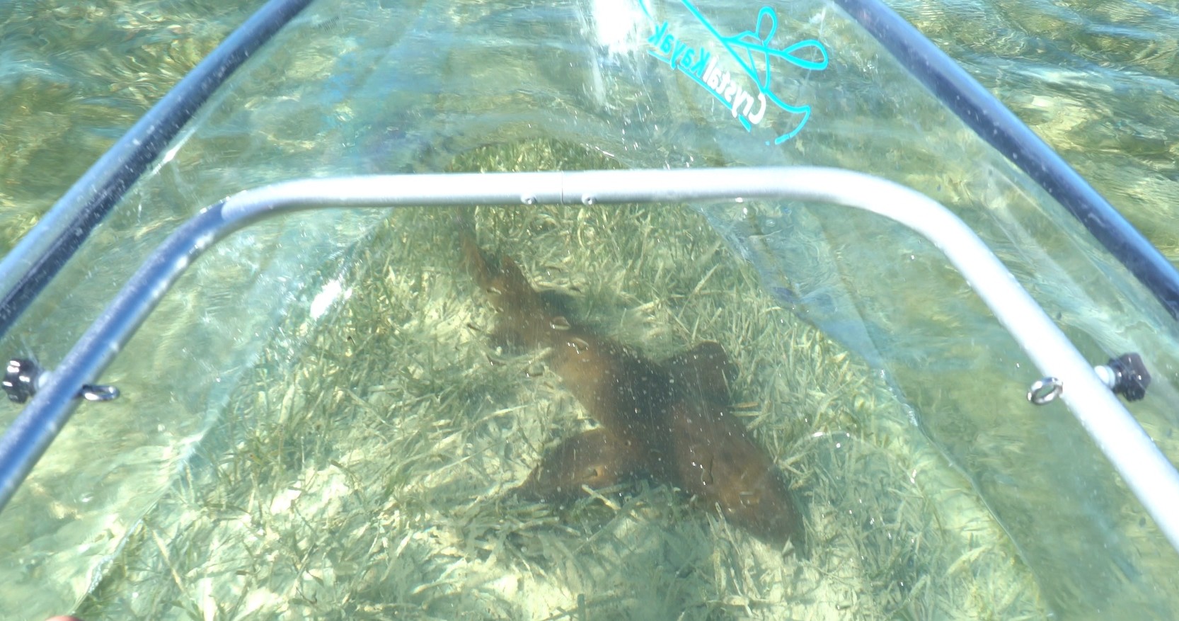 Clear Kayak Tour of Sugarloaf Key image 7