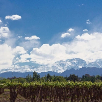 tourhub | Bamba Travel | Mendoza Wine & Mountains Adventure 4D/3N 