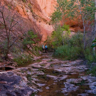 tourhub | Intrepid Travel | Hiking and Backpacking Utah's Coyote Gulch		 